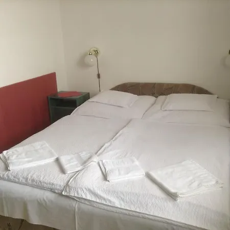 Pensjonat Sos Borhaz Panzio *