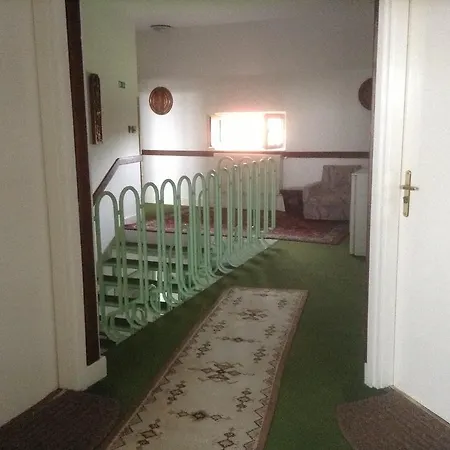 Pensjonat Sos Borhaz Panzio