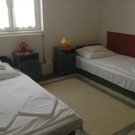 Pensjonat Sos Borhaz Panzio Mád